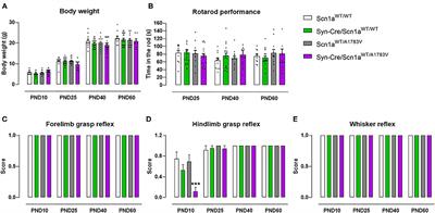 Neuropathological Characterization of a Dravet Syndrome Knock-In Mouse Model Useful for Investigating Cannabinoid Treatments